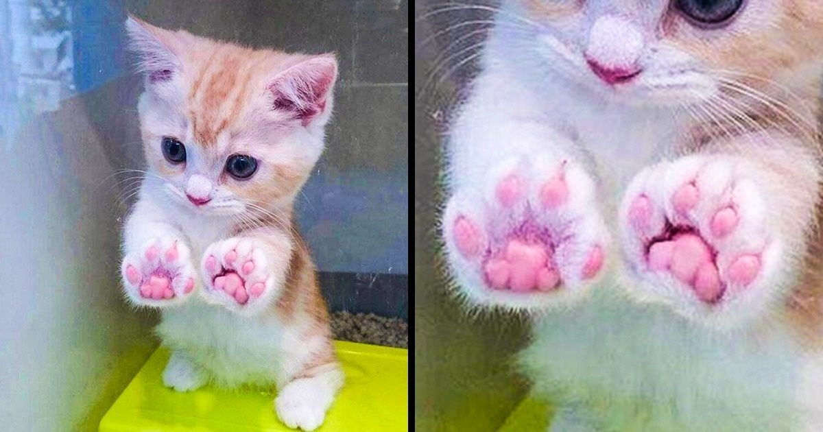 20 Anti-Stress Pictures For You To Make Your Day Better