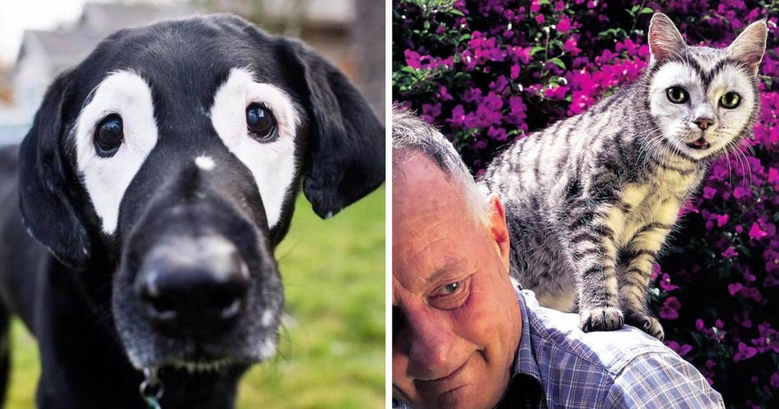21 Unique Animals That Nature Made One-of-a-Kind