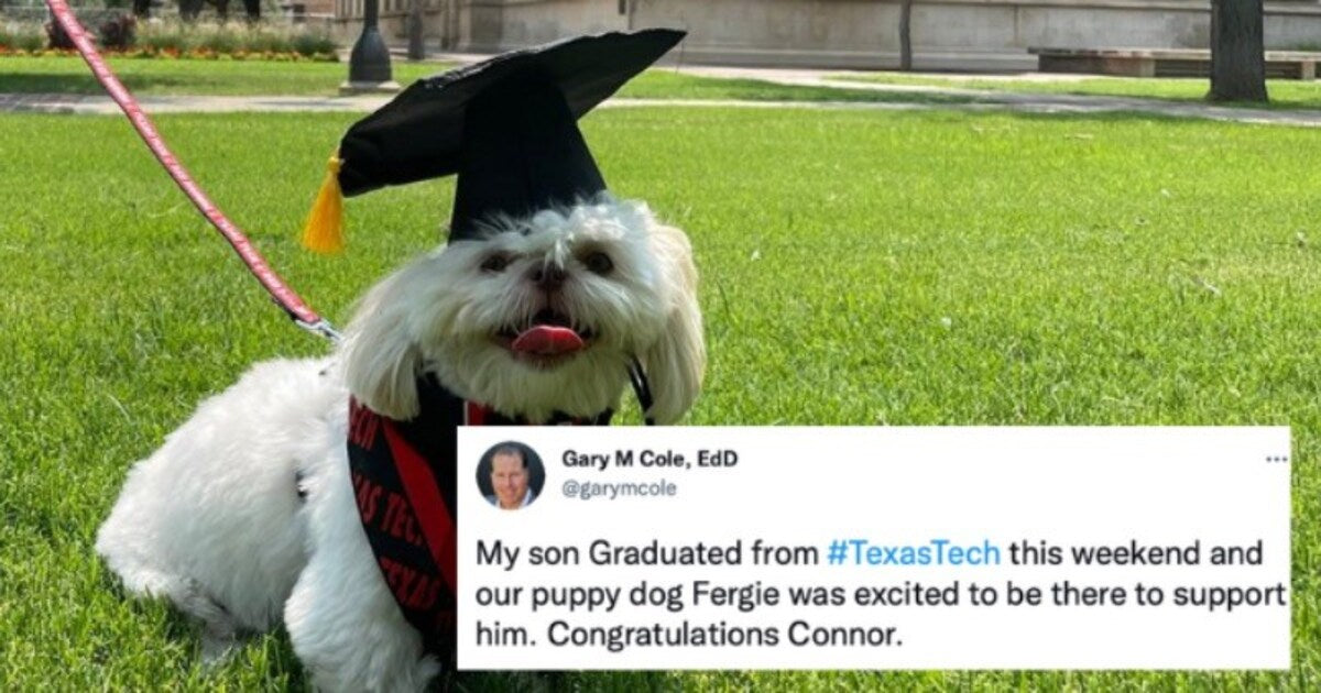 Wholeosome Photos Of Pets Who Are Proud To Be Part Of The Family