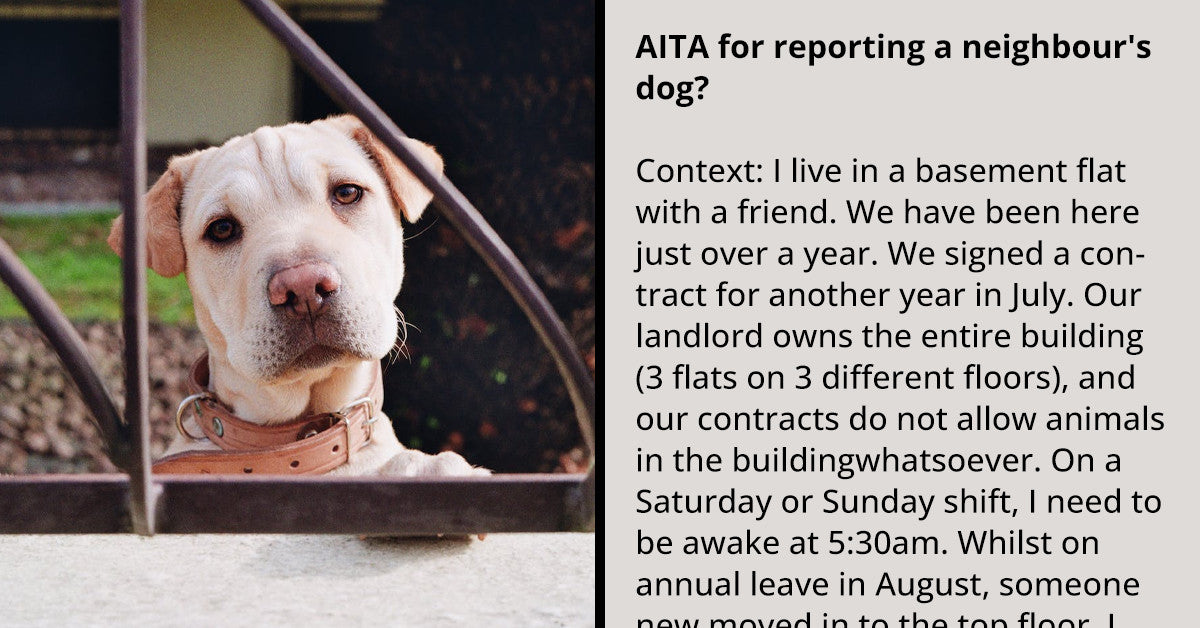 Man Reports The Neighbor’s Loud Dog, Neighbor Denies That It Isn’t Their Dog Who Makes The Noise