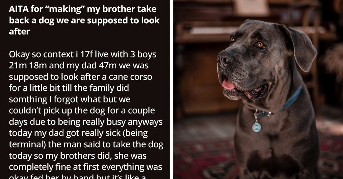 Girl Wants Brother To Take Back An Aggressive Dog After The Dog Attacked Her