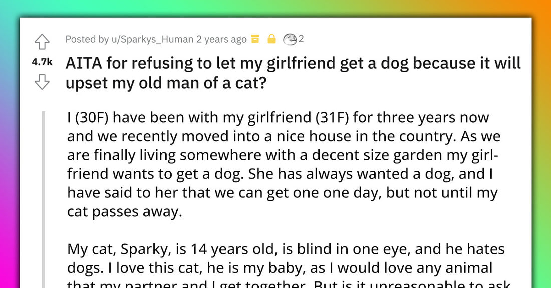 Girlfriend Wants To Get A Dog, Boyfriend Refuses Because His Senior Cat Hates Dogs