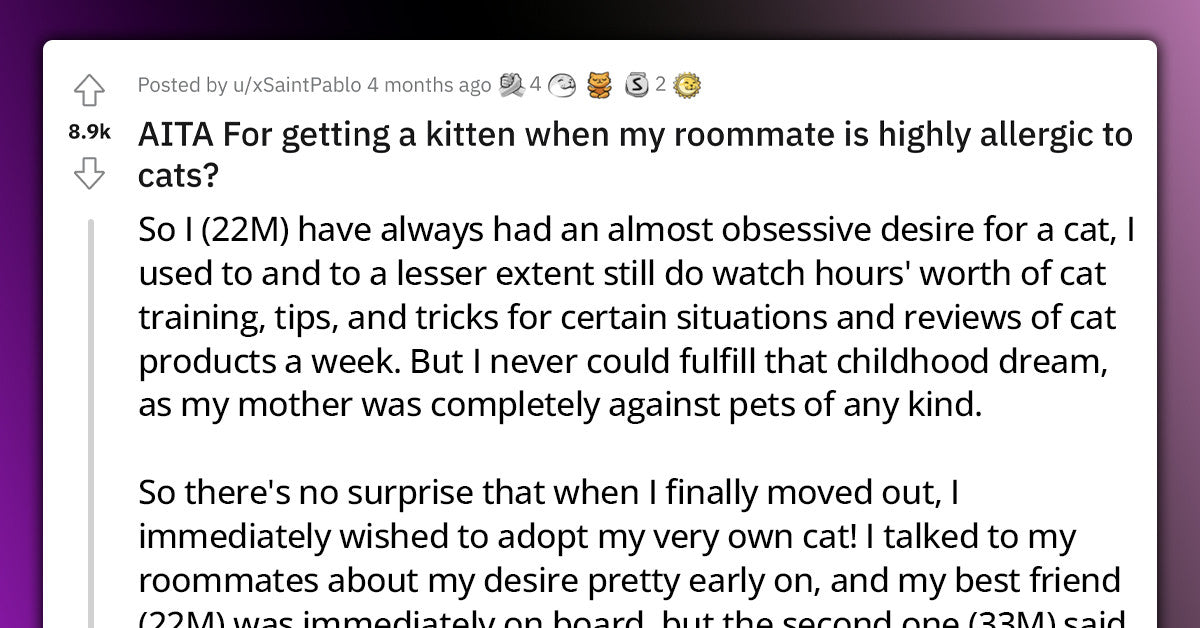 Guy Gets A Kitten Even Though His Roommate Is Allergic To Cats, Roommate Gets Angry - grandgoldman.com