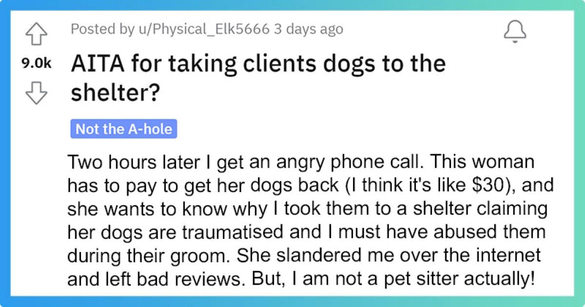 Client Leaves Her Dogs At The Groomer, Gets Mad When He Takes Her Dogs To The Shelter - grandgoldman.com