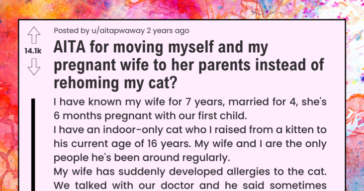 Pregnant Cat Allergic Wife Secretly Gives Up Husband’s 16-Year-Old Cat To A Shelter, Drama Ensues