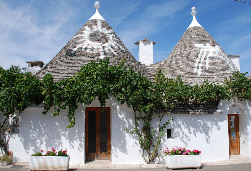 Bioclimatic Architecture: Let Nature Design Your Home