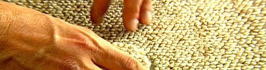 How to patch damaged carpet - grandgoldman.com