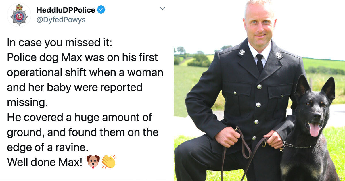 Police Dog Finds And Helps Rescuing Missing Baby And Their Mom On His First Day Of Work