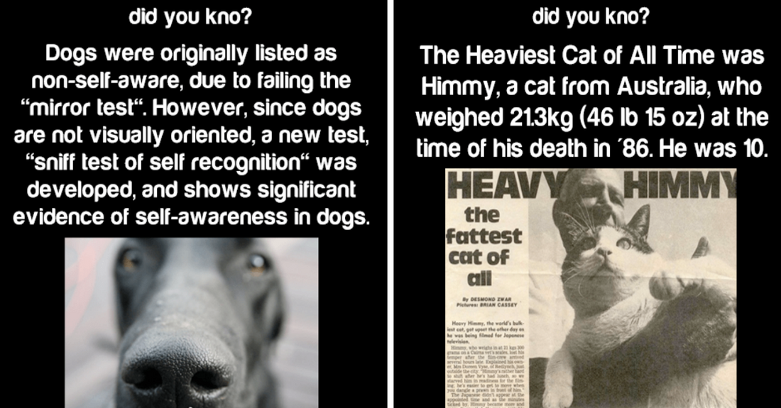Interesting Animal Facts That’ll Make You Feel Smarter - grandgoldman.com