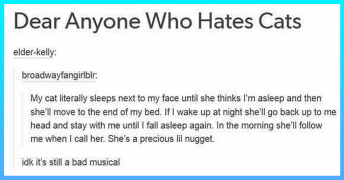 Tumblr Animal Posts Of Hilarity And Unexpected Knowledge