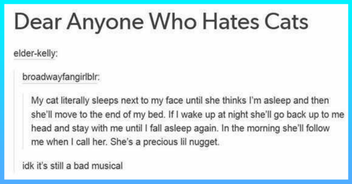 Tumblr Animal Posts Of Hilarity And Unexpected Knowledge