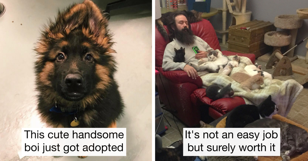 Animal Shelter Workers Share The Cutest Animal Pics That’ll Melt Your Heart