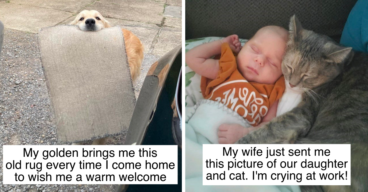 20 Adorable Photos That Show You The Sweet Side Of Animals