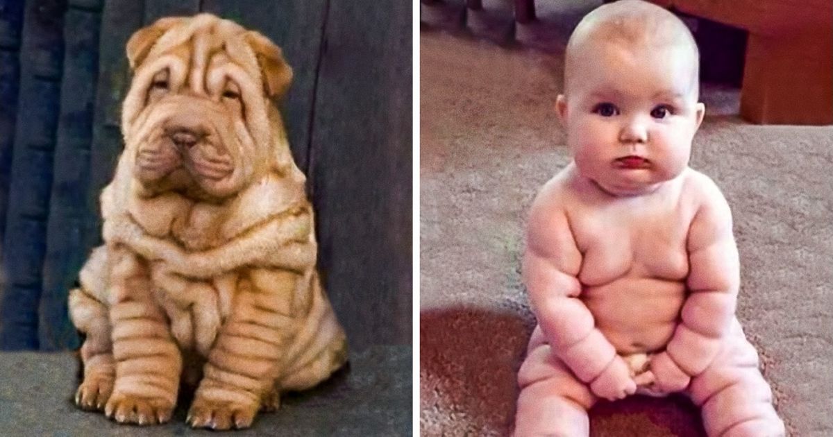 20 Wholesome Photos Of People Who Are Evolving Into Their Pets