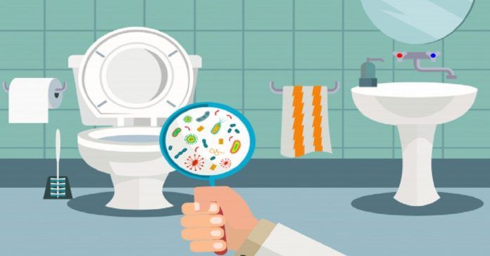 Important fact you should know about the toilet lid - grandgoldman.com