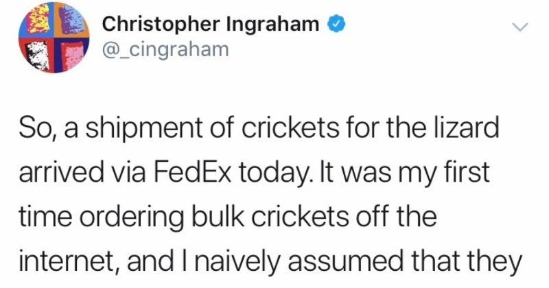Dad Orders Box Of Crickets, Assuming They Will Be Sealed And Hilarity Ensues - grandgoldman.com