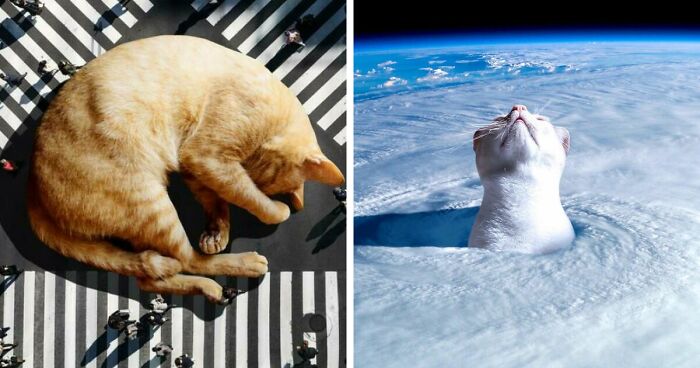 An Artist Photoshops Cats As Giants Living In Our World - grandgoldman.com