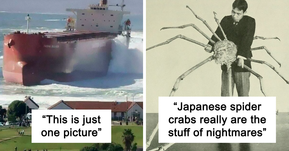 30 Huge Things To Trigger Your Megalophobia And Make You Feel Small - grandgoldman.com