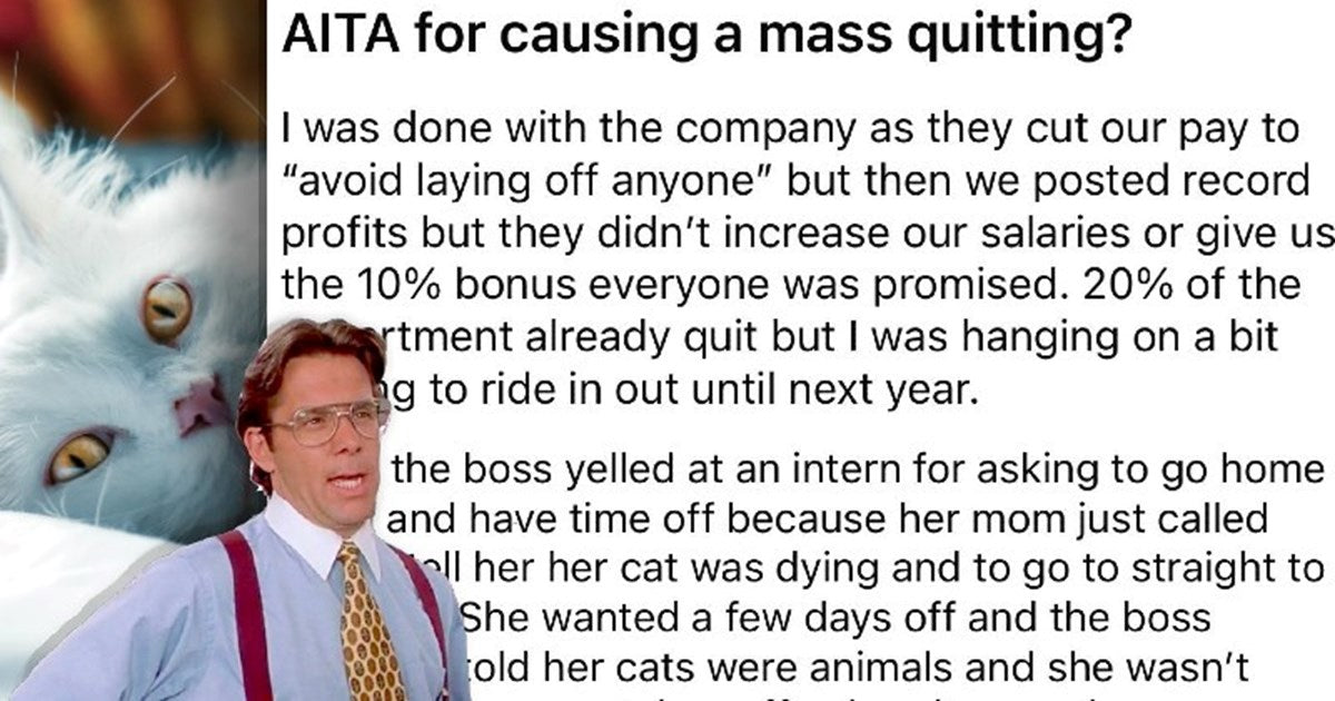 Employee Resigns Because Of Her Cat, Causing A Mass Quitting At The Company, Manager Isn’t Happy - grandgoldman.com