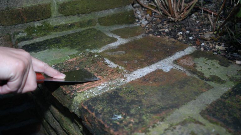 Excellent trick to protect your bricks from salt and fungi! - grandgoldman.com