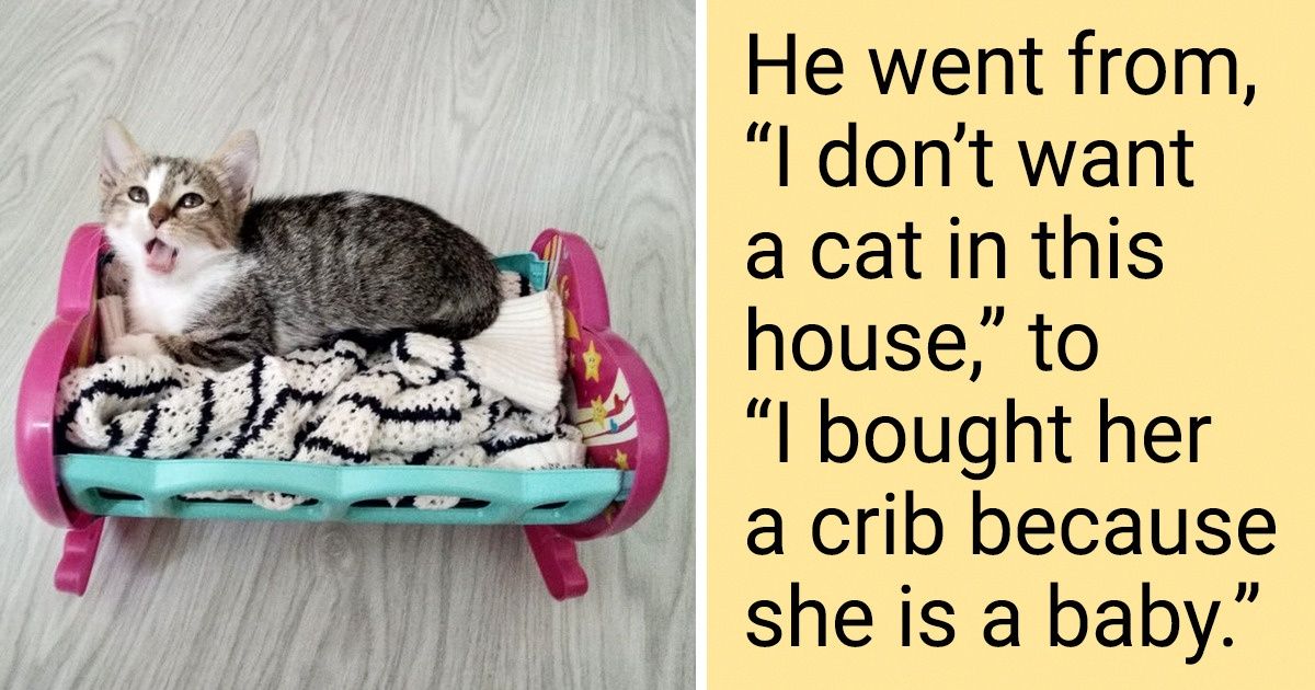 17 “I Don’t Want A Pet In This House” People That Now Can’t Live Without Their Pets - grandgoldman.com