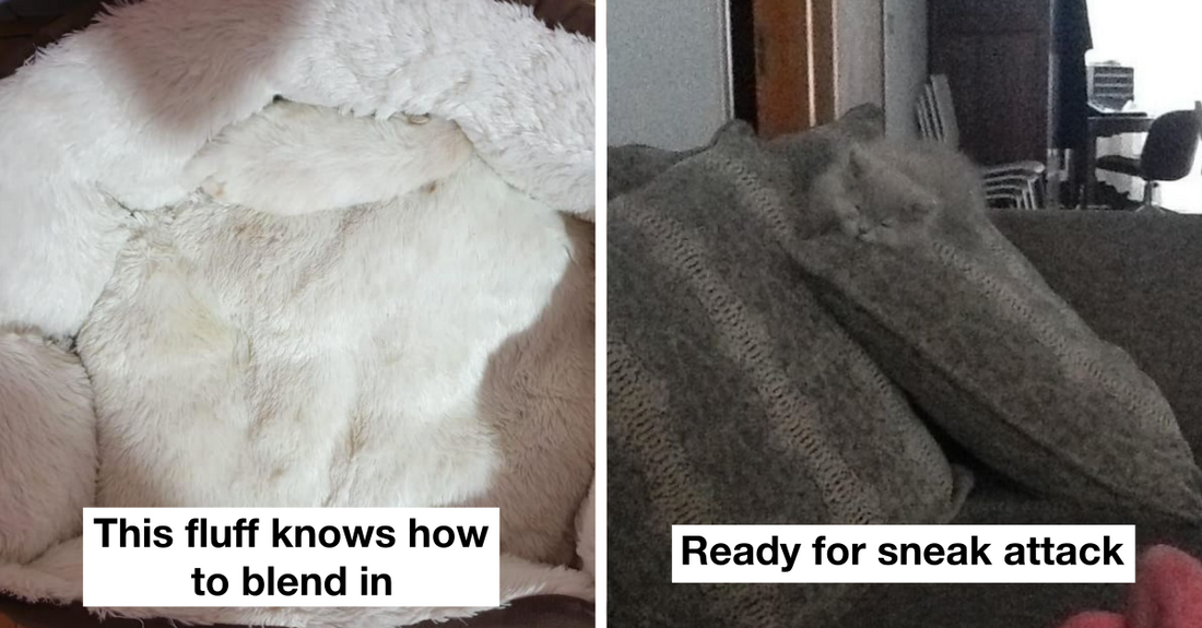 20 Camouflaged Animals Who Deserve The Title Of “Master Of Stealth”