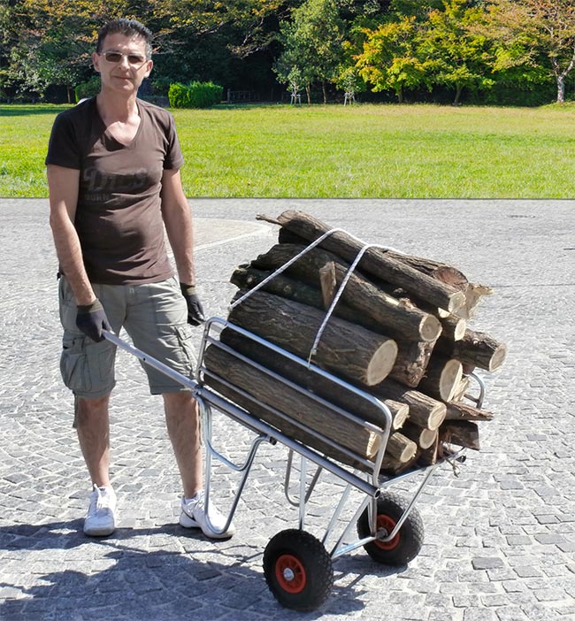 DIY Iron Log Cart: Build a Durable Firewood Carrier