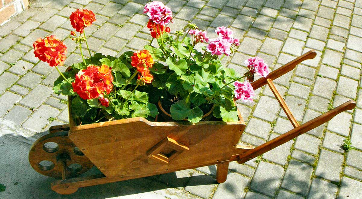 DIY Wooden Wheelbarrow Planter | Build It with Fir Panels