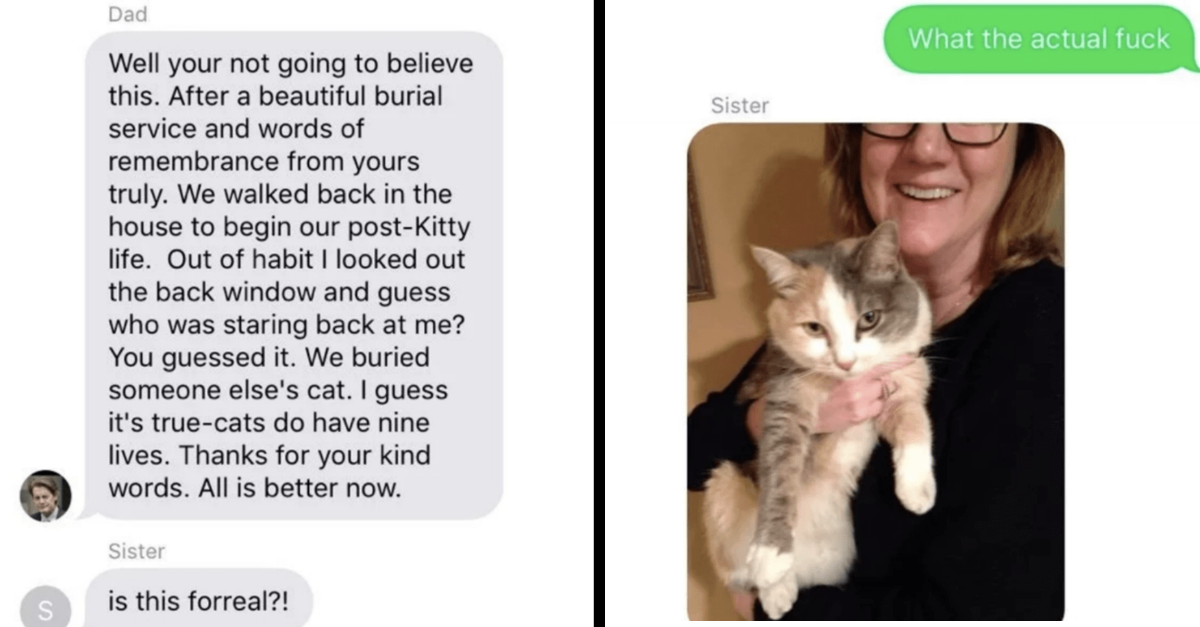 Family Cat Comes Back After They Thought They Buried Her, Hilarity Ensues - grandgoldman.com