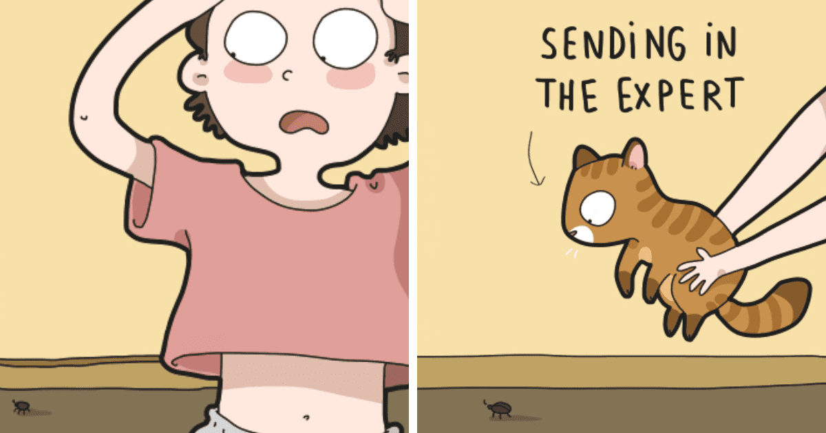 Artist Creates Hilarious Comics That Accurately Depicts Life Of Every Cat Parent