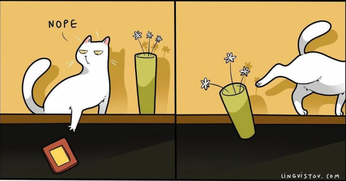 30 Funny Comics That Depicts What It’s Like To Live With A Cat