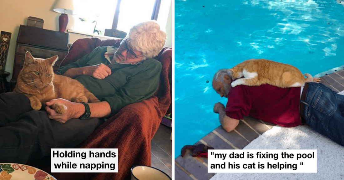 30 Wholesome Photos Of Cat Dads & Their Kitties Bonding Together