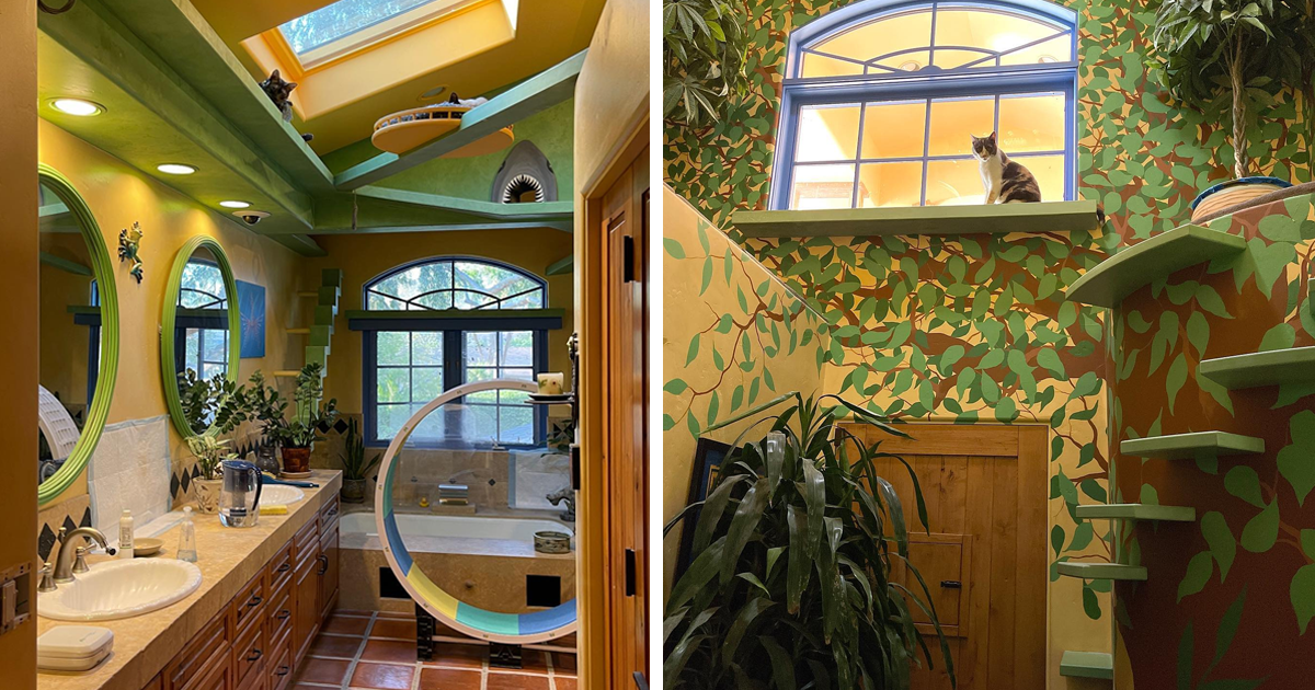 This Man Designed A Purrfect House For His 20-Plus Rescue Cats