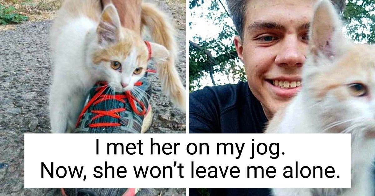 16 Times Our Pets Were More Clever Than We Initially Thought - grandgoldman.com