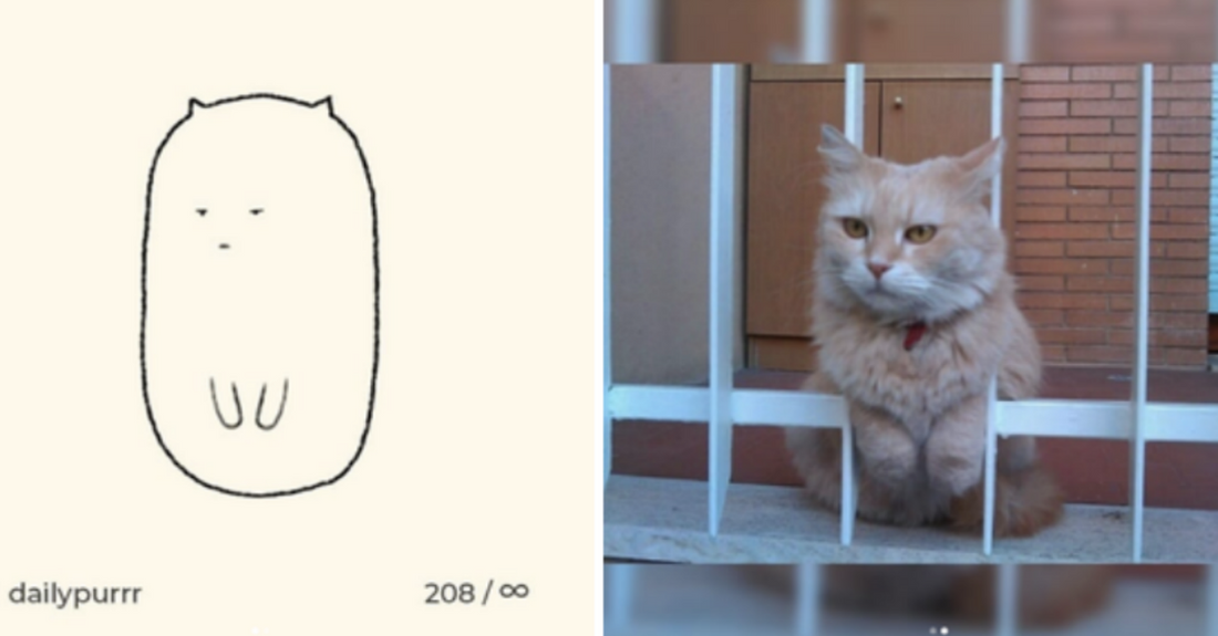 Artist Hilariously Illustrate Cats Photos That People Send To Him That Show How Weird Cats Are
