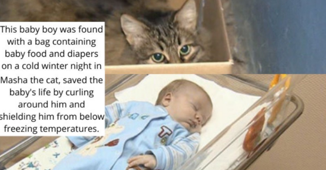 Cat Saves Abandoned Baby’s Life By Cuddling With It And Keeping It Warm In Freezing Temperature