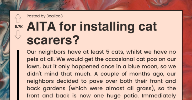 Guy Installs Cat Scarers To Deter The Neighbor’s Cats From Ruining The Property, Neighbor Gets Mad - grandgoldman.com