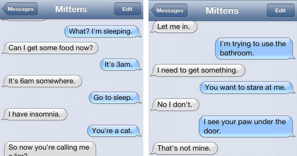 This Is What It Would Look Like If Your Cat Could Text You - grandgoldman.com