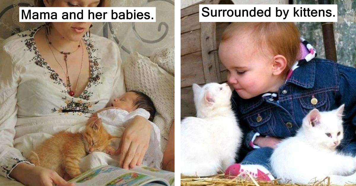 24 Cats And Babies That Make A Wholesome Duo
