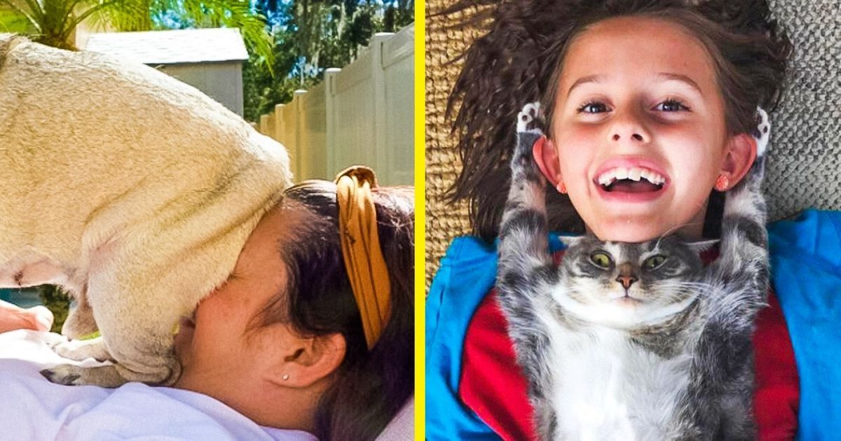 17 Cats and Dogs Who Cannot Leave Their Owners Alone For A Second