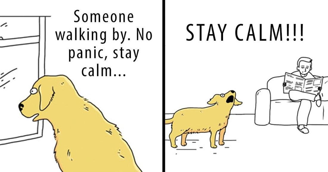30 Hilarious Comics That Prove Cats And Dogs Are From Different Worlds