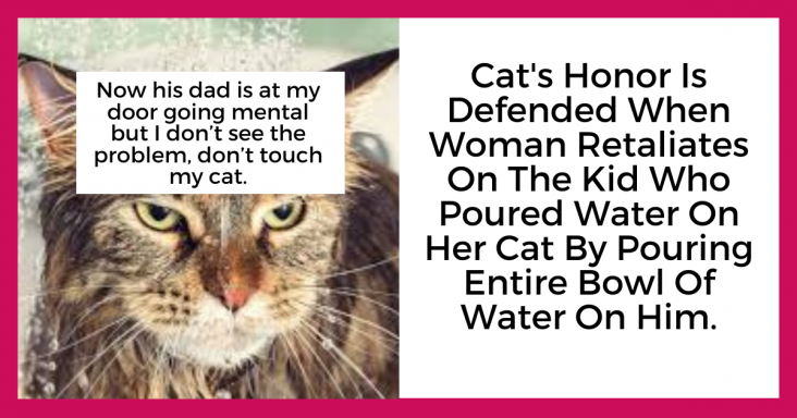 Cat’s Honor Is Defended When Woman Retaliates On The Kid Who Poured Water On Her Cat By Pouring Entire Bowl Of Water On Him - grandgoldman.com