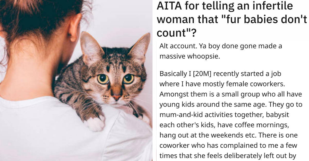 Cat Owner Got Upset When A Colleague Said Her “Fur Babies” Are Not Really Kids
