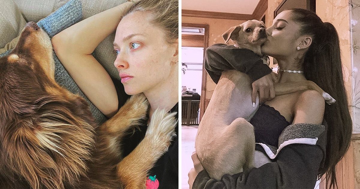 11 Celebrities Who Adopted Rescue Dogs And Gave Them Best Lives - grandgoldman.com