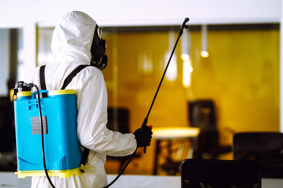 Pest Control Explained: Types, Methods & Prevention Guide