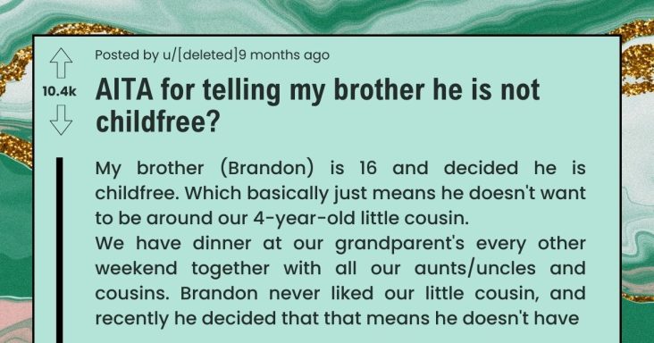Unmarried Plain Rude Brother Claims To Be Child-Free Even Though He Doesn’t Know What It Means - grandgoldman.com