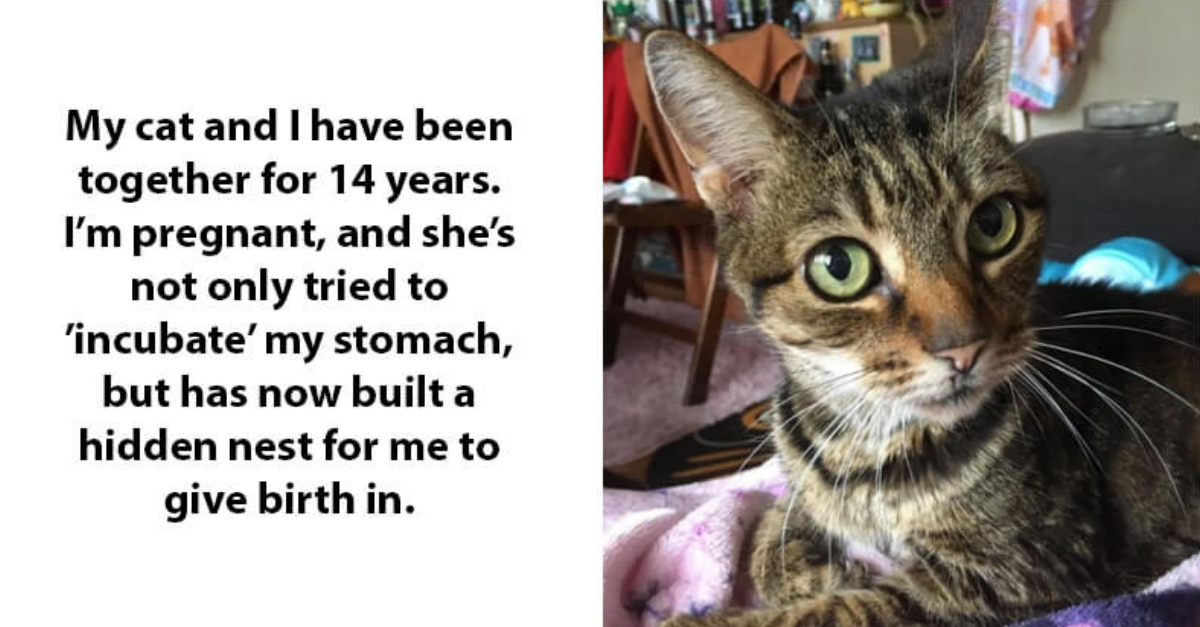 20 Clever Pets Who Left Us Speechless With Their Admirable Wisdom