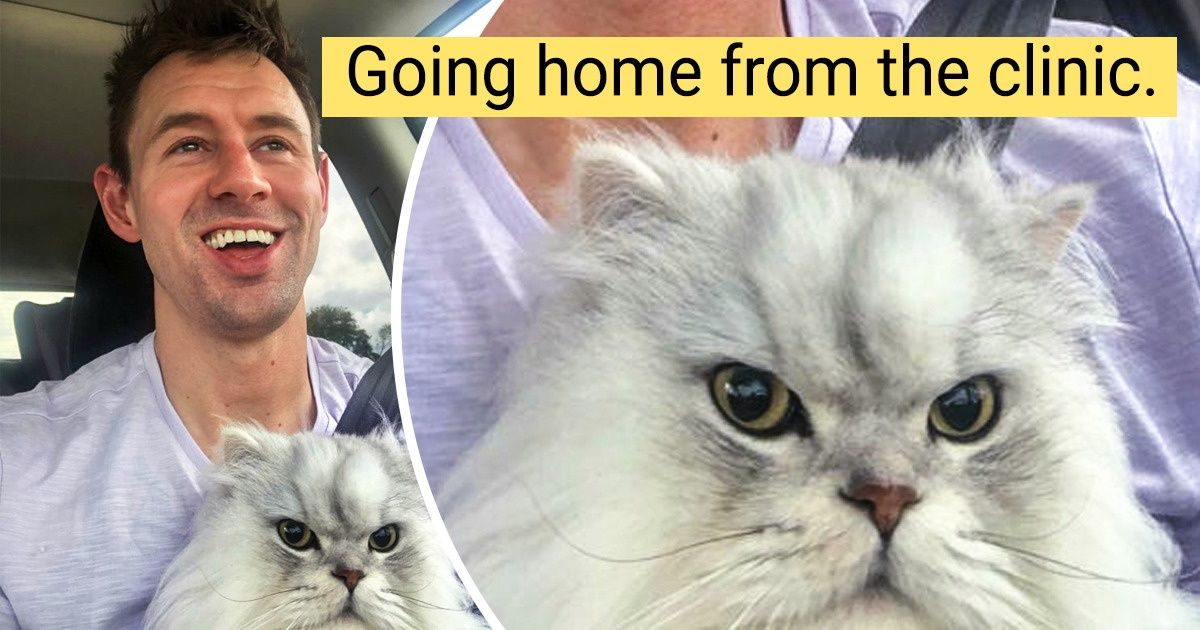 23 Times People’s Pets Didn’t Like Their Vet Visit And It Is Hilarious - grandgoldman.com