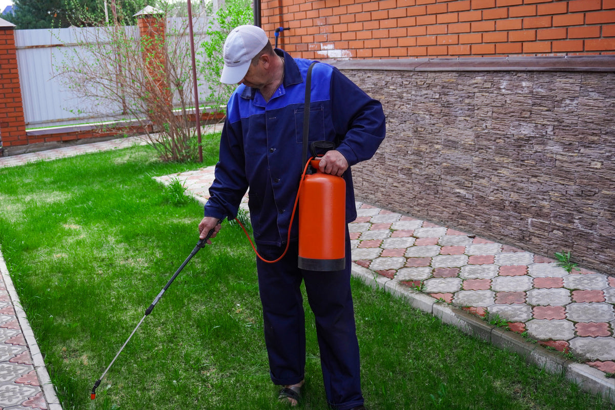 How to Get Rid of Mosquitoes in Your Yard: Expert Guide
