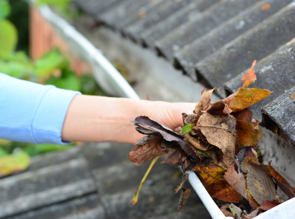 How to Clean Gutters Effectively: A Complete DIY Guide